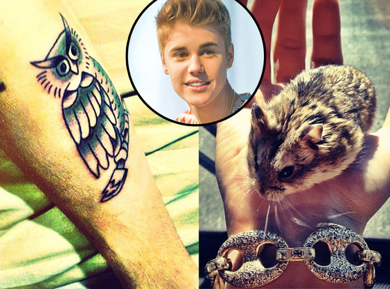 Justin Bieber Tattoo, Hamster Justin Bieber Tattoo, Hamster